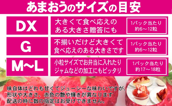 いちご あまおう G以上 約520g（260g×2パック）配送不可 北海道 東北 沖縄 離島