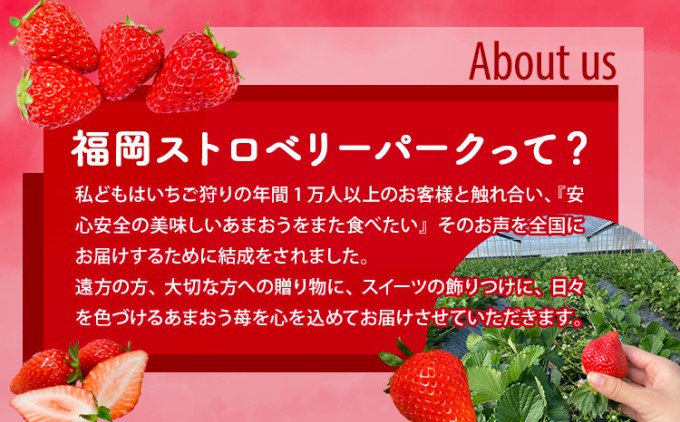 訳あり いちご 2025年2月下旬より発送 あまおう サイズ色々 6パック 約1.71kg 配送不可 離島