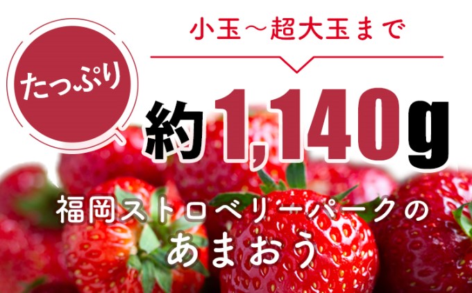 訳あり いちご 2025年2月下旬より発送 あまおう サイズ色々 4パック 約1.14kg 配送不可 離島