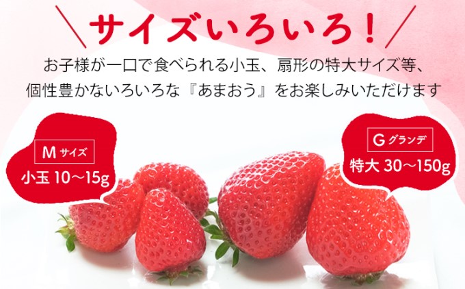 訳あり いちご 2025年2月下旬より発送 あまおう サイズ色々 4パック 約1.14kg 配送不可 離島