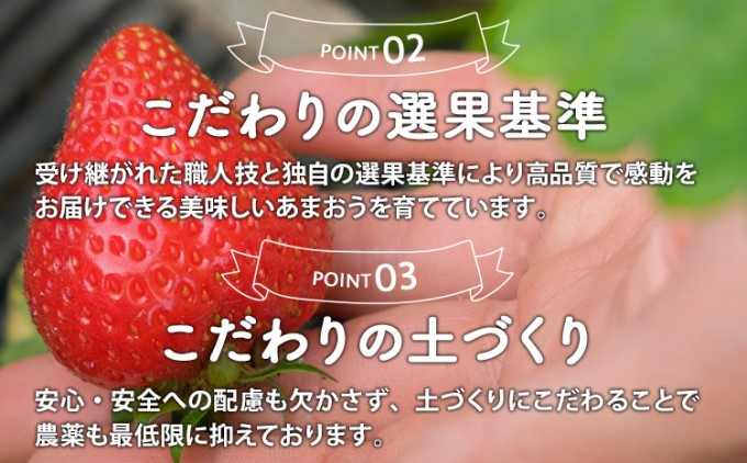 いちご 2024年12月より発送 うるう農園のあまおう サイズ色々4パック 約1.14kg※配送不可：離島