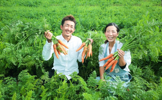 訳あり 規格外 にんじん 約10kg 有機JAS認証取得 栽培期間中農薬 除草剤 化学肥料不使用