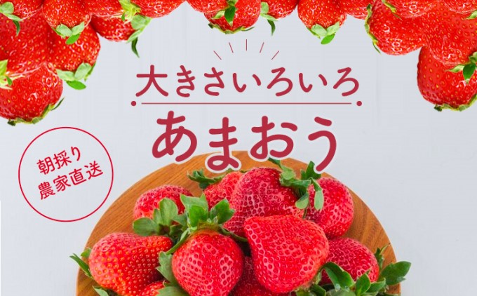 訳あり いちご 2025年2月下旬より発送 あまおう サイズ色々 8パック 約2.28kg 配送不可 離島