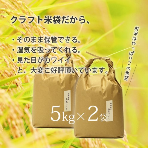 玄米 10kg 元気つくし 福岡県産 特A評価 お米 5kg×2袋 米 コメ 福岡県