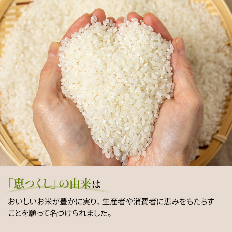 米 10kg 恵つくし 奇跡の一粒 5kg×2 令和5年産 お米 こめ コメ 新品種