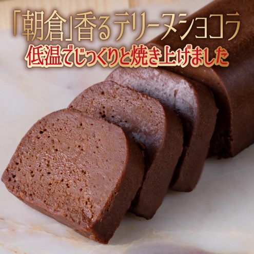 ガトーショコラ 大人の生ガトーショコラ 2個 セット 洋菓子 ケーキ デザート テリーヌ チョコレート ※配送不可:離島 
