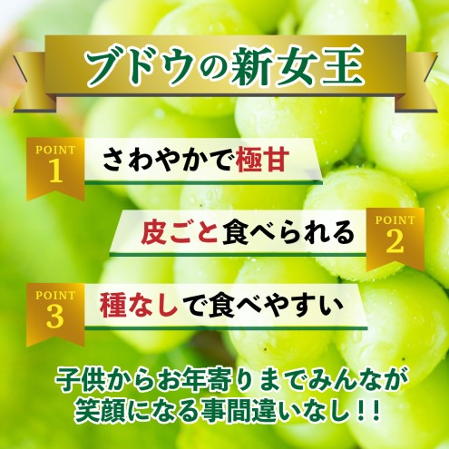 シャインマスカット 約1.4kg (350g×4p) 朝倉市産 シャイン マスカット ぶどう ブドウ 果物 葡萄 デザート ※配送不可：離島 