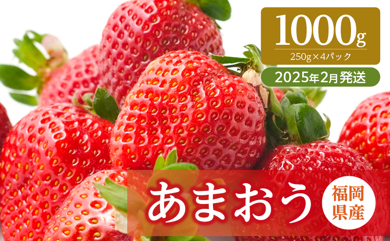 いちご 福岡県産 あまおう 1000g (250g×4パック) 先行予約 2025年2月より順次発送 果物 デザート ※配送不可：離島