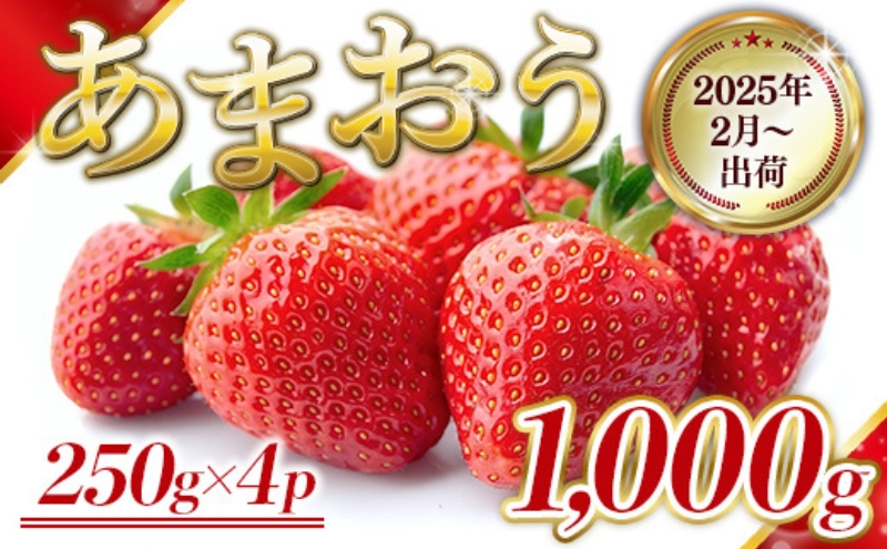 いちご 福岡県産 あまおう 1000g (250g×4パック) 先行予約 2025年2月より順次発送 果物 デザート ※配送不可：離島