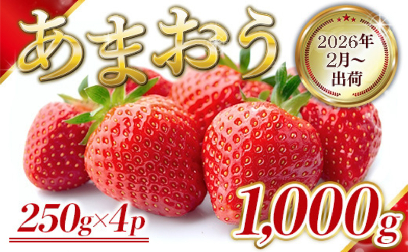 いちご 福岡県産 あまおう 1000g (250g×4パック) 先行予約 2026年2月より順次発送 果物 デザート ※配送不可：離島