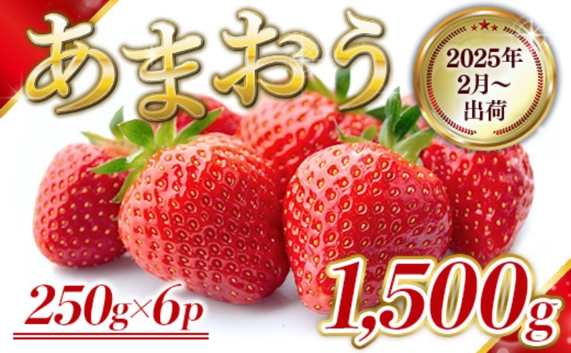 いちご 福岡県産 あまおう 1500g (250g×6パック) 先行予約 2025年2月より順次発送 果物 デザート ※配送不可：離島