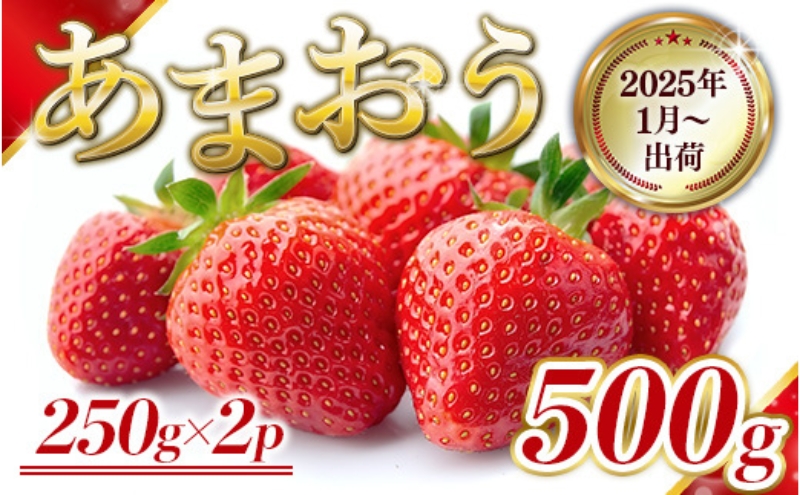 いちご 福岡県産 あまおう 500g (250g×2パック) 先行予約 2025年1月より順次発送 果物 デザート ※配送不可：離島 