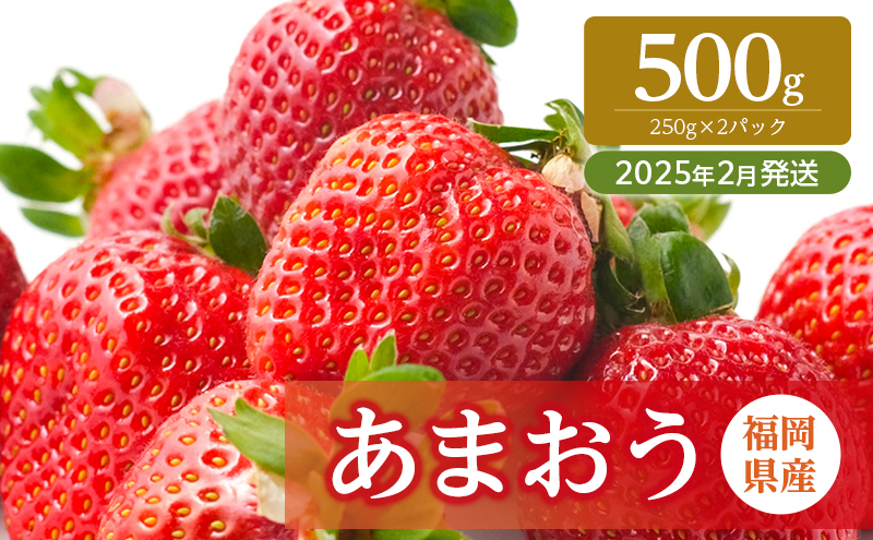 いちご 福岡県産 あまおう 500g (250g×2パック) 先行予約 2025年2月より順次発送 果物 デザート ※配送不可：離島
