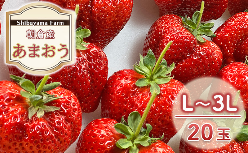 いちご 朝倉市産 あまおう L～3L 20玉 イチゴ 苺 果物 デザート ＜Shibayama Farm＞ ※配送不可：離島