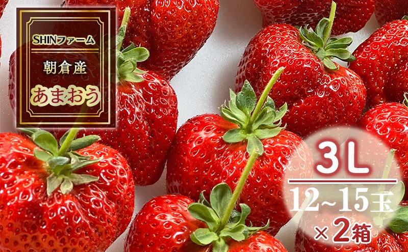 いちご 朝倉市産 あまおう 3L 12～15玉×2箱 イチゴ 苺 果物 デザート ＜SHINファーム＞ ※配送不可：離島