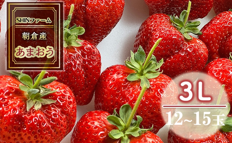 いちご 朝倉市産 あまおう 3L 12～15玉 イチゴ 苺 果物 デザート ＜SHINファーム＞ ※配送不可：離島