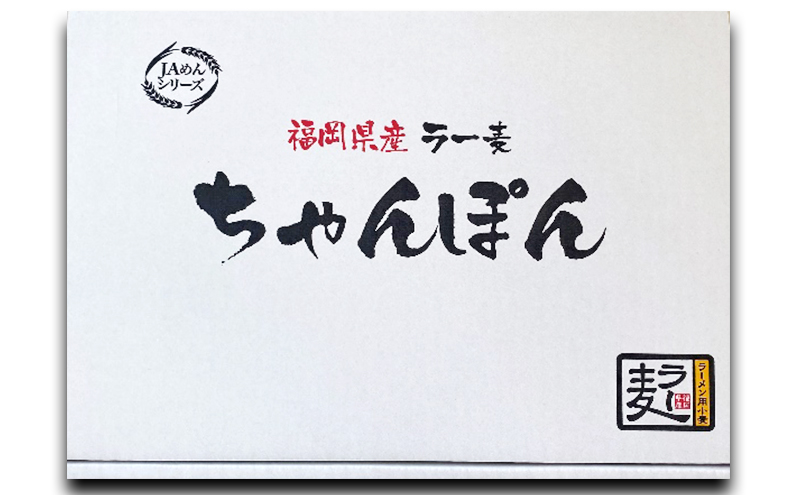 ちゃんぽん 福岡県産 ラー麦ちゃんぽん 1ケース 麺