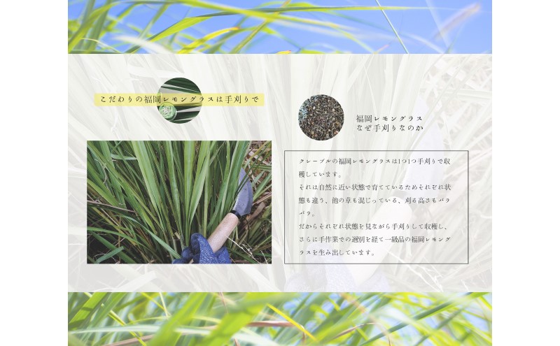 ティー ハーブ 福岡レモングラス - ふくおかれもんぐらす - fukuoka lemongrass - 11包入り ティーバッグ