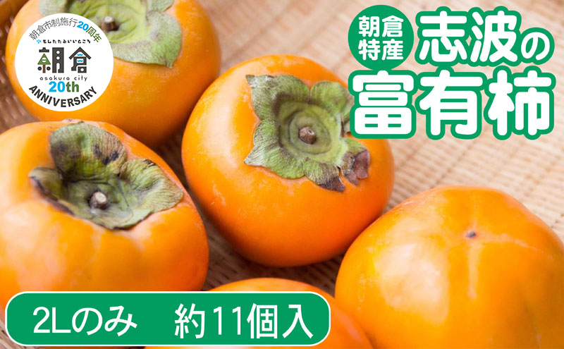 【朝倉市制施行20周年記念企画】 柿 志波の富有柿 2Lサイズのみ×約11個入 ゆう美果樹園 ※配送不可：離島