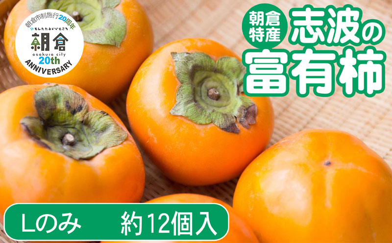 【朝倉市制施行20周年記念企画】 柿 志波の富有柿 Lサイズのみ×約12個入 ゆう美果樹園 ※配送不可：離島