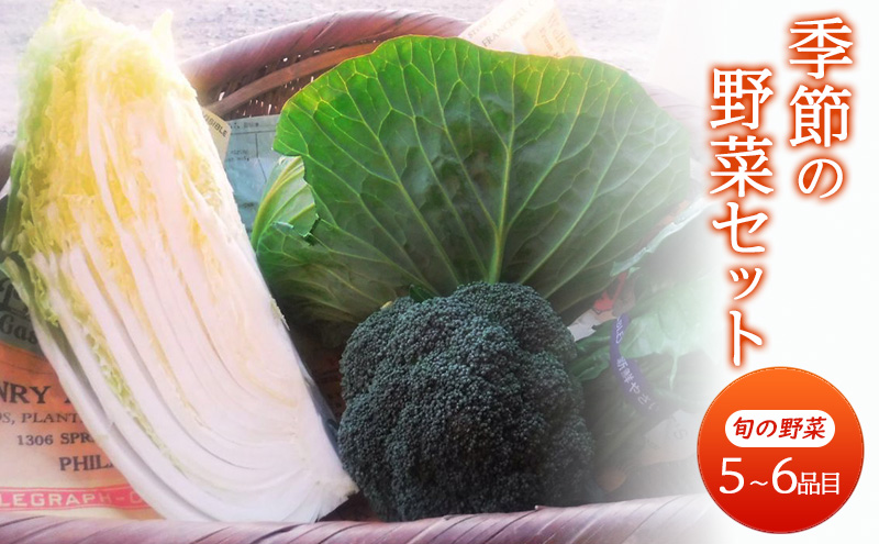 野菜 季節の野菜セット 季節 冬 旬 野菜セット 福岡県 朝倉市