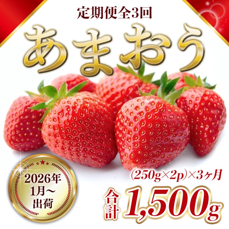 定期便 3ヶ月 福岡県産 あまおう 合計1500g 先行予約 2026年1月より順次発送 いちご イチゴ 苺 果物 3回 ※配送不可：離島