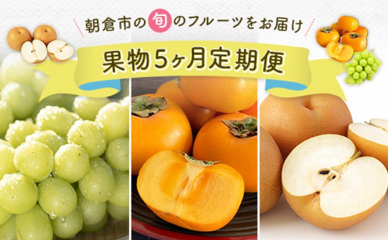 定期便 5ヶ月 果物 先行予約 2025年7月より順次発送 シャインマスカット 梨 柿 果物 ※配送不可：離島