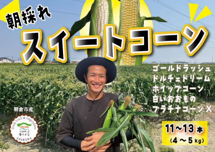 とうもろこし 朝倉市産 スイートコーン 朝採り！約4～5kg ※配送不可：離島、北海道、東北、沖縄