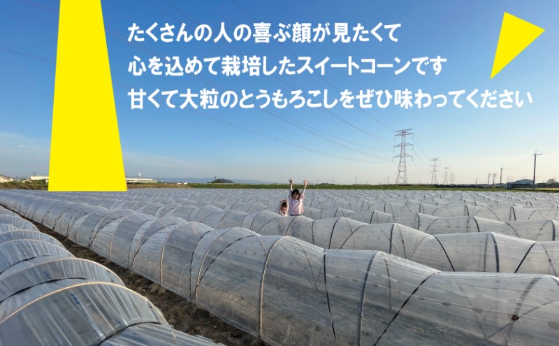 とうもろこし 朝倉市産 スイートコーン 朝採り！約4～5kg ※配送不可：離島、北海道、東北、沖縄