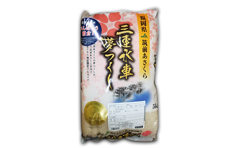 邀ウ 螟「縺、縺上@ 5kg 遲大燕縺ゅ&縺上i霎イ蜊 縺顔アウ