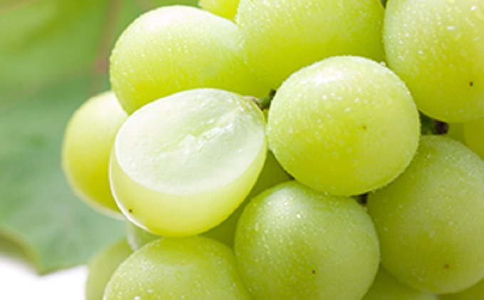 【朝倉市制施行20周年記念企画】限定 数量 定期便 2回 桃 シャインマスカット 2025年 発送 フルーツ 夏のフルーツ定期便 果物 もも モモ マスカット デザート 朝倉 ※配送不可 離島