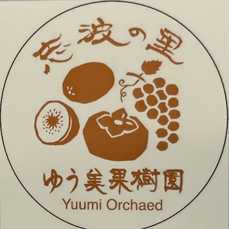 2026年12月発送　訳あり 規格外品　志波の富有柿 約3kg 柿 ※配送不可：離島