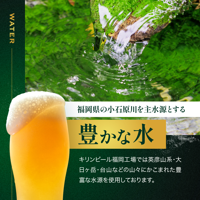 定期便 3ヶ月 キリン ビール ハートランドビール 500ml 中瓶 12本 箱入 お酒 アルコール 瓶 3回 お楽しみ 