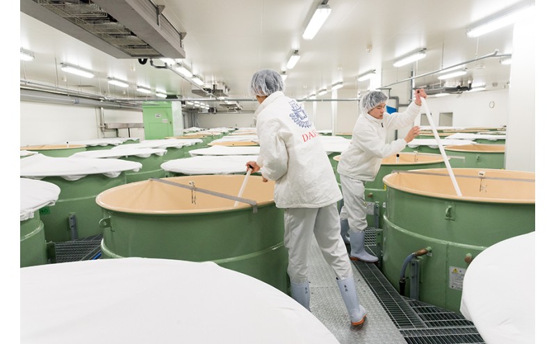 迯コ逾ュ 邏皮アウ螟ァ蜷滄ク 逎ィ縺堺コ悟牡荳牙 720mlテ2譛ャ 遖丞イ。逵檎肇螻ア逕ー骭ヲ菴ソ逕ィ 譌・譛ャ驟 驟 縺企 邏皮アウ螟ァ蜷滄ク 螟ァ蜷滄ク