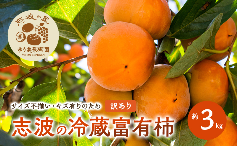 訳あり 志波の冷蔵富有柿 約3kg 柿 冷蔵 ※配送不可：離島