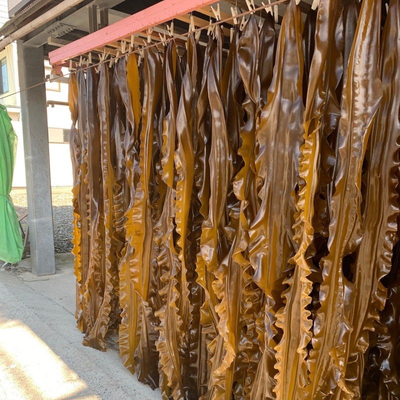 彩り5本セット ドレッシング 酢 だし