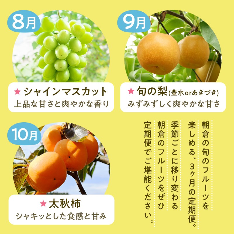 果物 3ヶ月 定期便 先行予約 2026年8月より順次発送 (シャインマスカット、梨、柿) フルーツ 3回 ※配送不可：離島