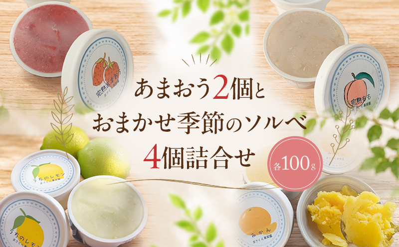 自家栽培果実 ソルベ 詰合せ あまおう2個とおまかせ季節のソルベ4個＜Cafe 楓＞ 果実 果物  苺 イチゴ デザート ※配送不可:離島