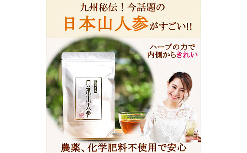 ★希少★日本山人参茶30包入り×2袋 飲料類 お茶 野菜/人参 