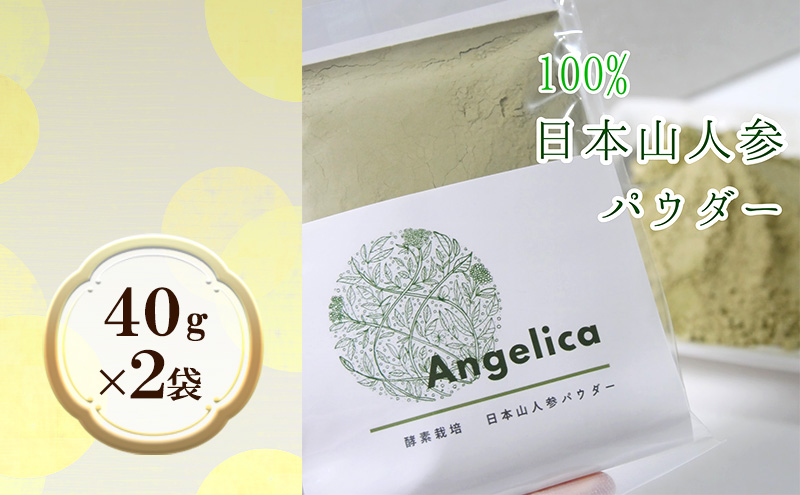 ★希少★日本山人参（葉と茎の粉末） 2袋 飲料類 お茶 野菜/人参