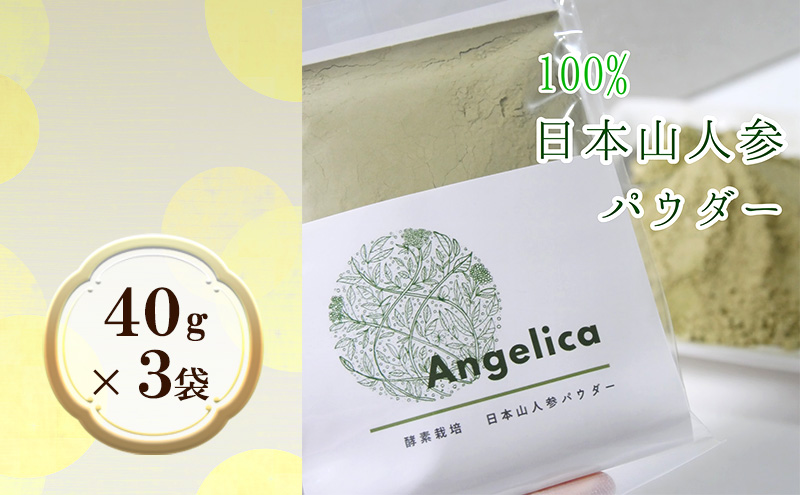 ★希少★日本山人参パウダー40g×3袋 飲料類 お茶 野菜/人参