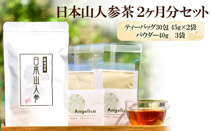 ★希少★日本山人参茶＆パウダーで健康に！ティーバッグ30包×2袋 パウダー40g×3袋 農薬不使用 飲料類 お茶 野菜 抹茶 ヨーグルト ハーブの力 化学肥料不使用