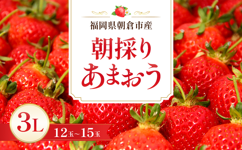 いちご 朝倉市産 あまおう 3L 12～15玉 イチゴ 苺 果物 デザート ※配送不可：離島