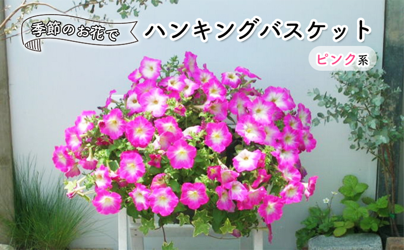 花 季節のお花でハンキングバスケット ピンク系 植物 ガーデニング ガーデン インテリア 