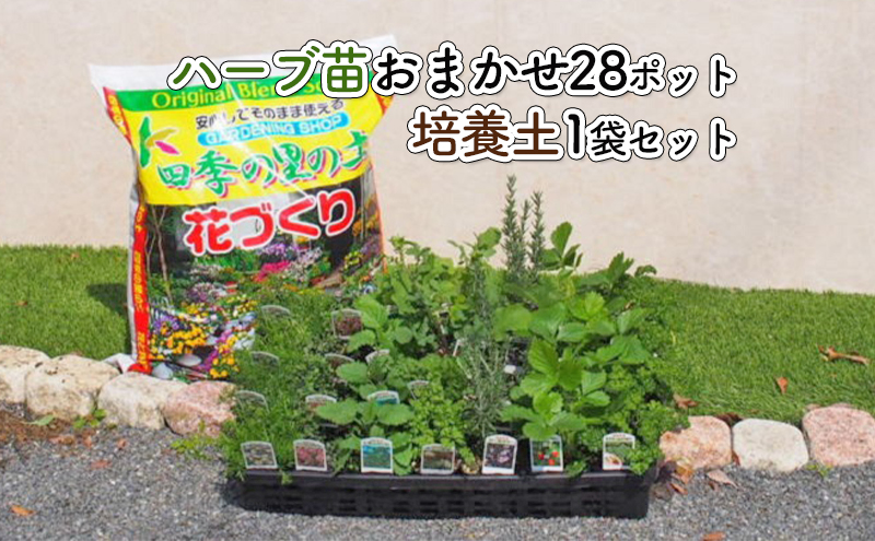 ハーブ苗 28ポット 培養土 20L 1袋 セット ガーデニング 植物 インテリア ガーデニングショップ四季の里 