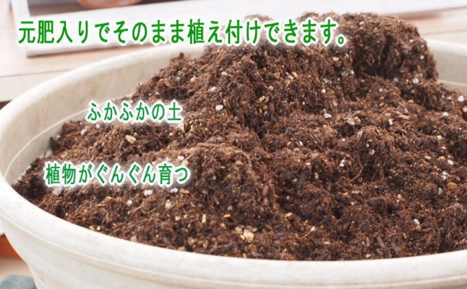 繝上シ繝冶距 28繝昴ャ繝 蝓ケ鬢雁悄 20L 1陲 繧サ繝繝 繧ャ繝シ繝繝九Φ繧ー 讀咲黄 繧、繝ウ繝繝ェ繧「 繧ャ繝シ繝繝九Φ繧ー繧キ繝ァ繝繝怜屁蟄」縺ョ驥