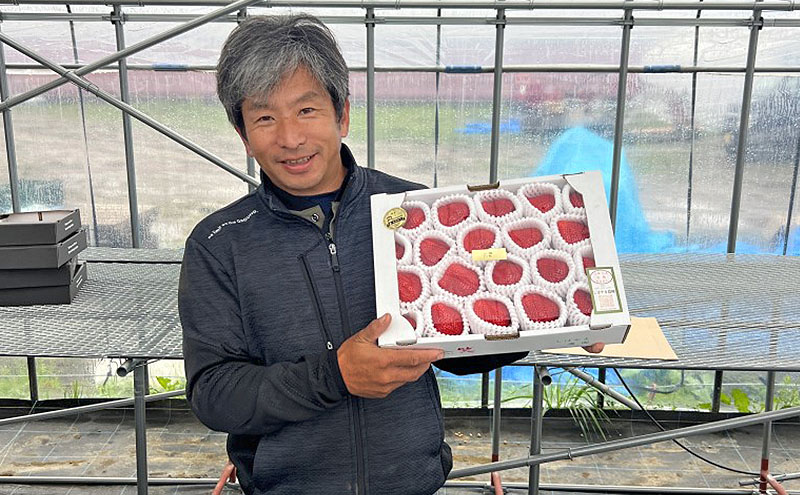 いちご 朝倉市産 あまおう 3L 12～15玉×2箱 イチゴ 苺 果物 デザート ※配送不可：離島