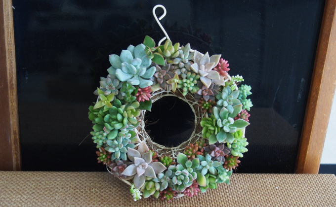 多肉 寄せ植え サークルハンキング  植物 アレンジ 丸型リース 植物 インテリア ガーデン 