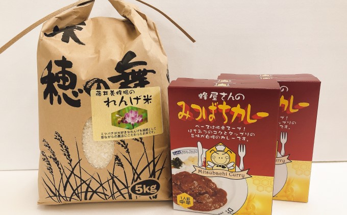 藤井養蜂場のれんげ米、オリジナルみつばちカレーセット