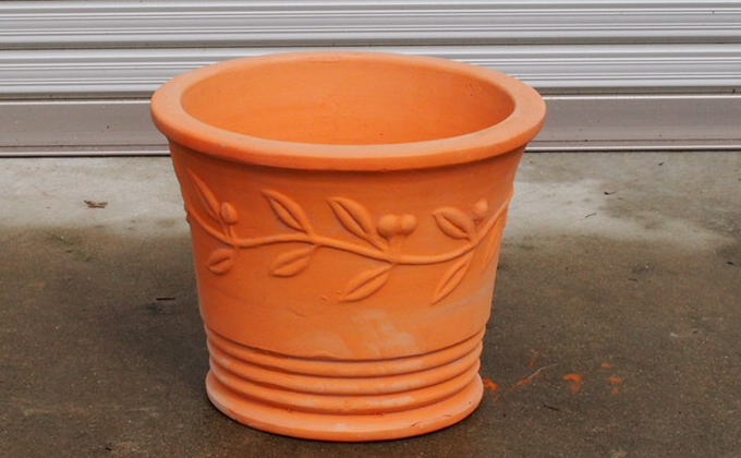 特大サイズ レモンの木鉢植え テラコッタ40cm Jalふるさと納税 Jalのマイルがたまるふるさと納税サイト